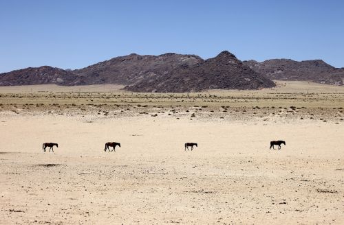 namibia desert sand