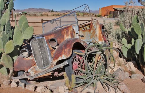 namibia old car cactus