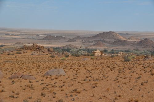namibia desert travel
