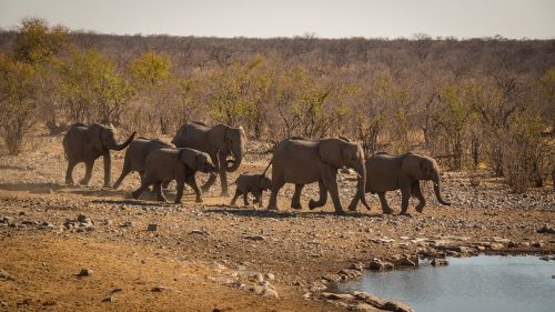 namibia namib outdoors