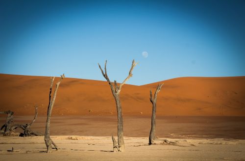 namibia namib outdoors