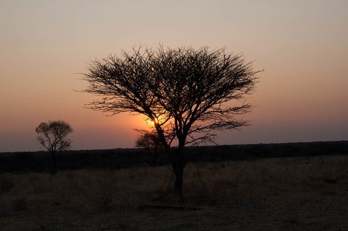 namibia  sunset  africa