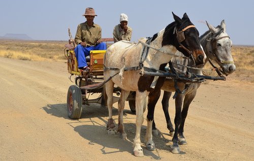 namibia  road  landscape