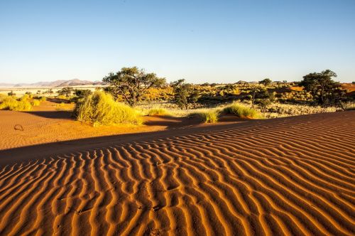 namibia wolwedans namib edge