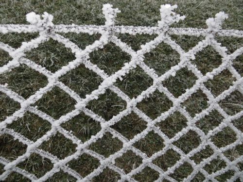 Frosted Fence