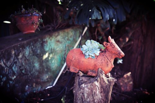 nandi  pottery  nature