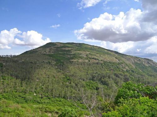 nandi hills forest deccan plateau