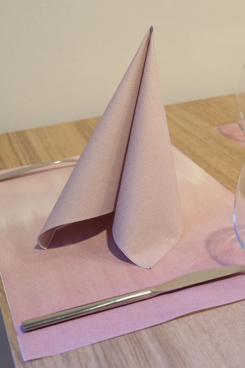 napkin non woven restaurants