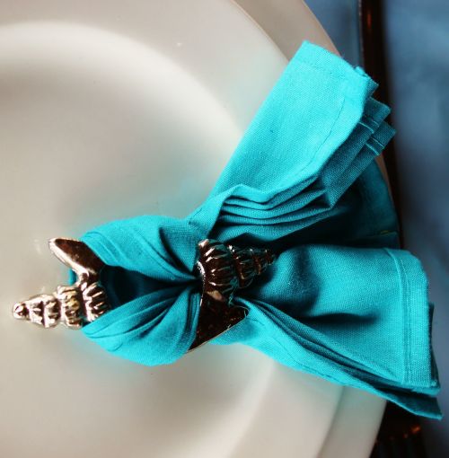 napkin turquoise fabric