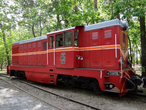 narrow-gauge railway locomotive train