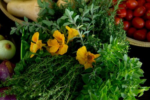 nasturtium thyme herbs