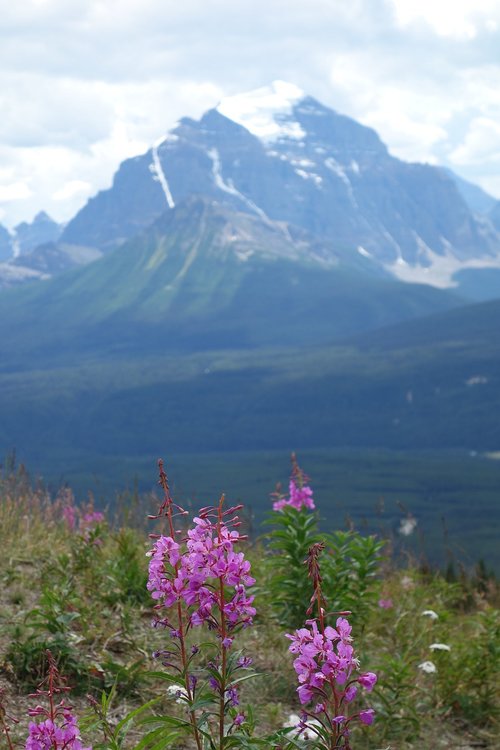 national park  nature  landscape