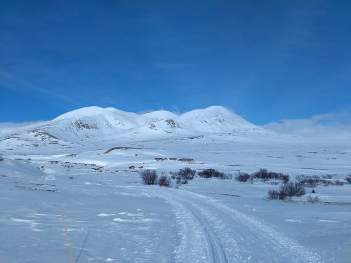 national park norway rondane