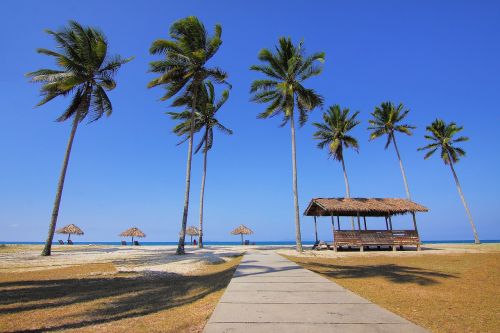 natural landscape seascape