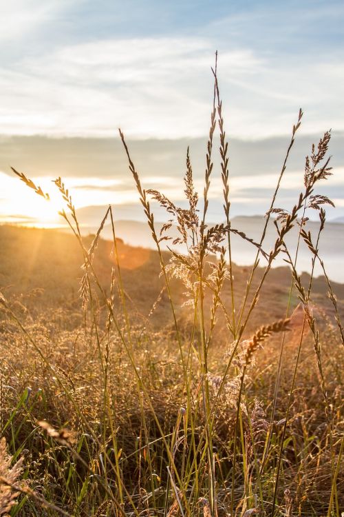 natural nature landscape