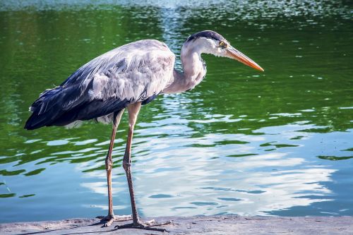 natural bird park