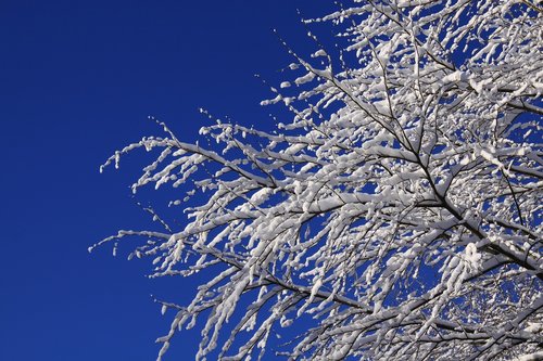 natural  winter  sky