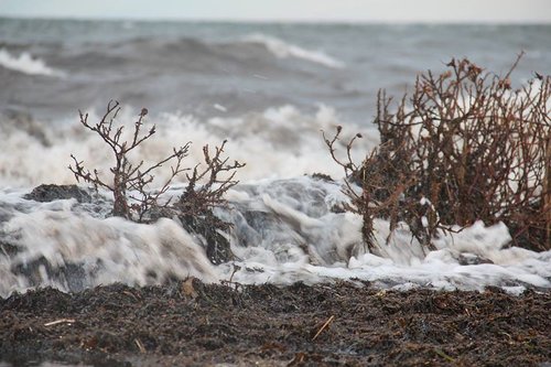 natural  storm surge  landscape