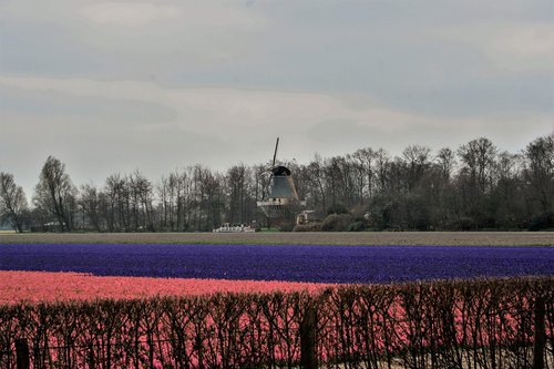 natural  outdoor  landscape