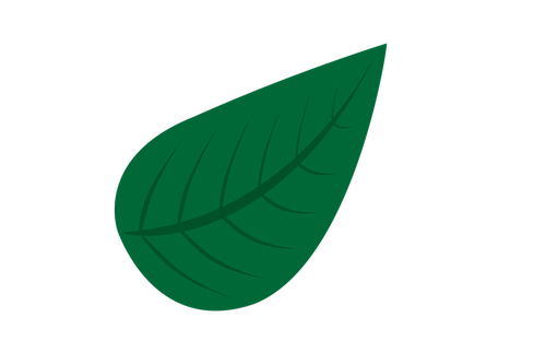 natural  green  leave
