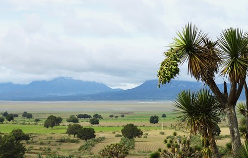 natural  nature  landscape