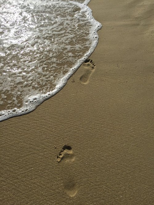 natural  the beach  the sea