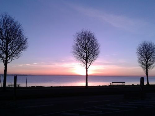 natural sunrise trees