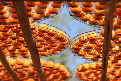 natural fruit orange