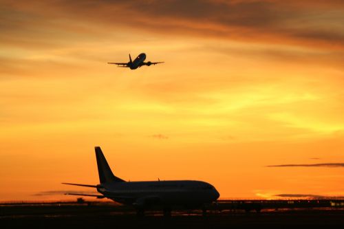 natural yellow airplane