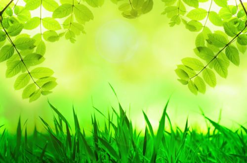 Natural Green Background