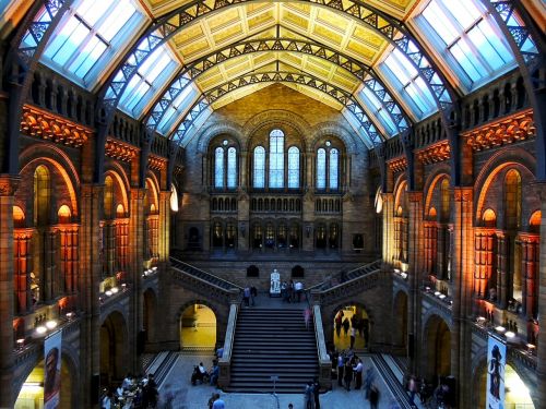 natural history museum london architecture