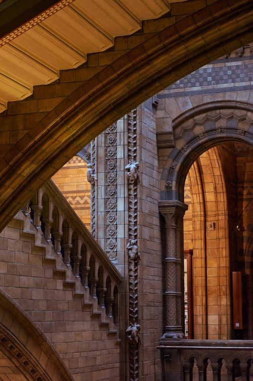natural history museum london staircase