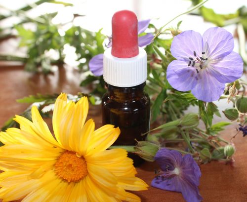natural medicine flower essences natural