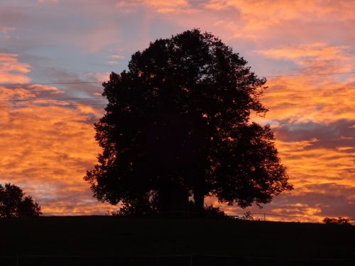 natural monument morgenstimmung red sky