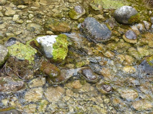 natural water bach stones