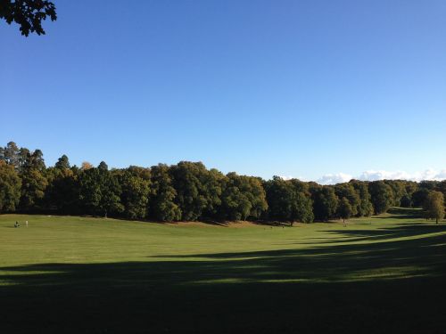 nature park landscape