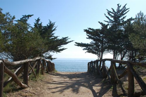 nature sea trail