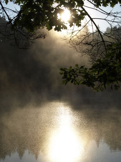 pond surface lake