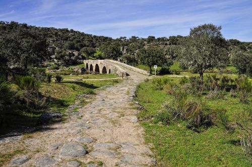 nature landscape bridge