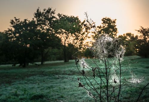 nature landscape dawn