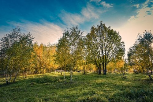 nature landscape landscapes