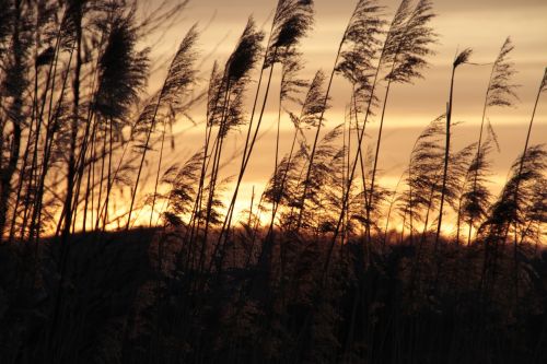 nature sunset quiet