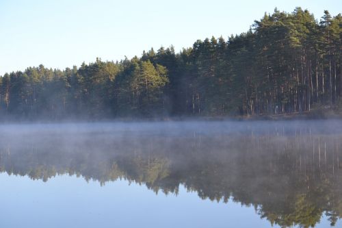 nature fog silence