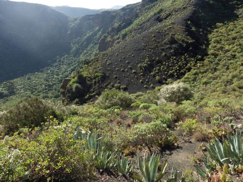 nature gran canaria volcano