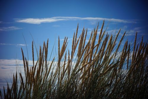 nature sky blue