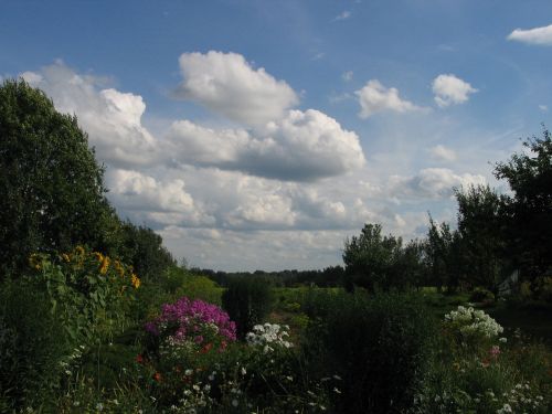 nature sky summer