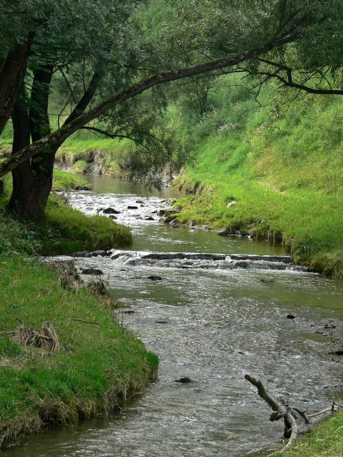 nature scenery landscape