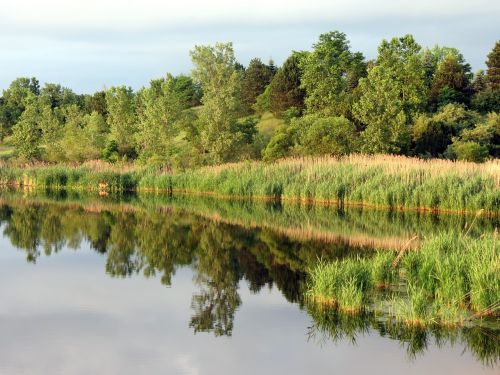 nature lake reflection
