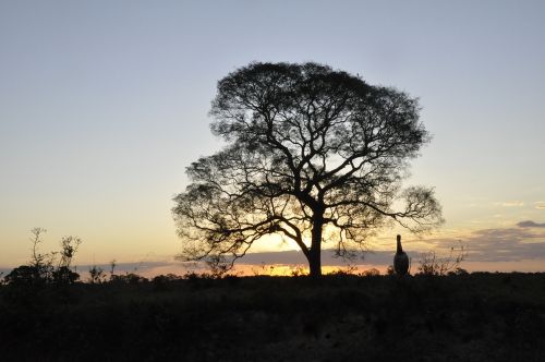 nature sunset brazil