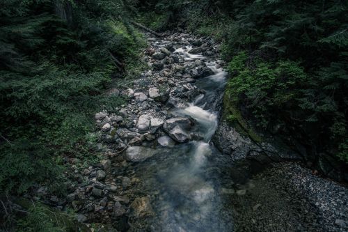nature creek stream